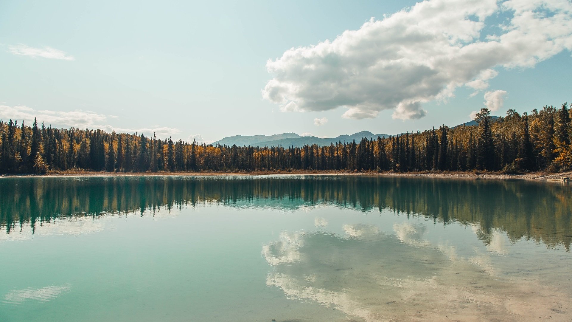 _体育与公益联动:运动助力社会进步_,关于体育的公益项目