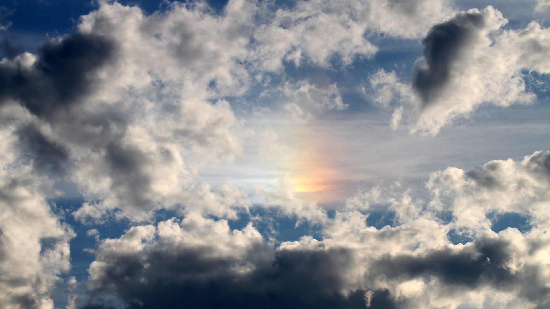 _体育与公益联动:运动助力社会进步_,关于体育的公益项目