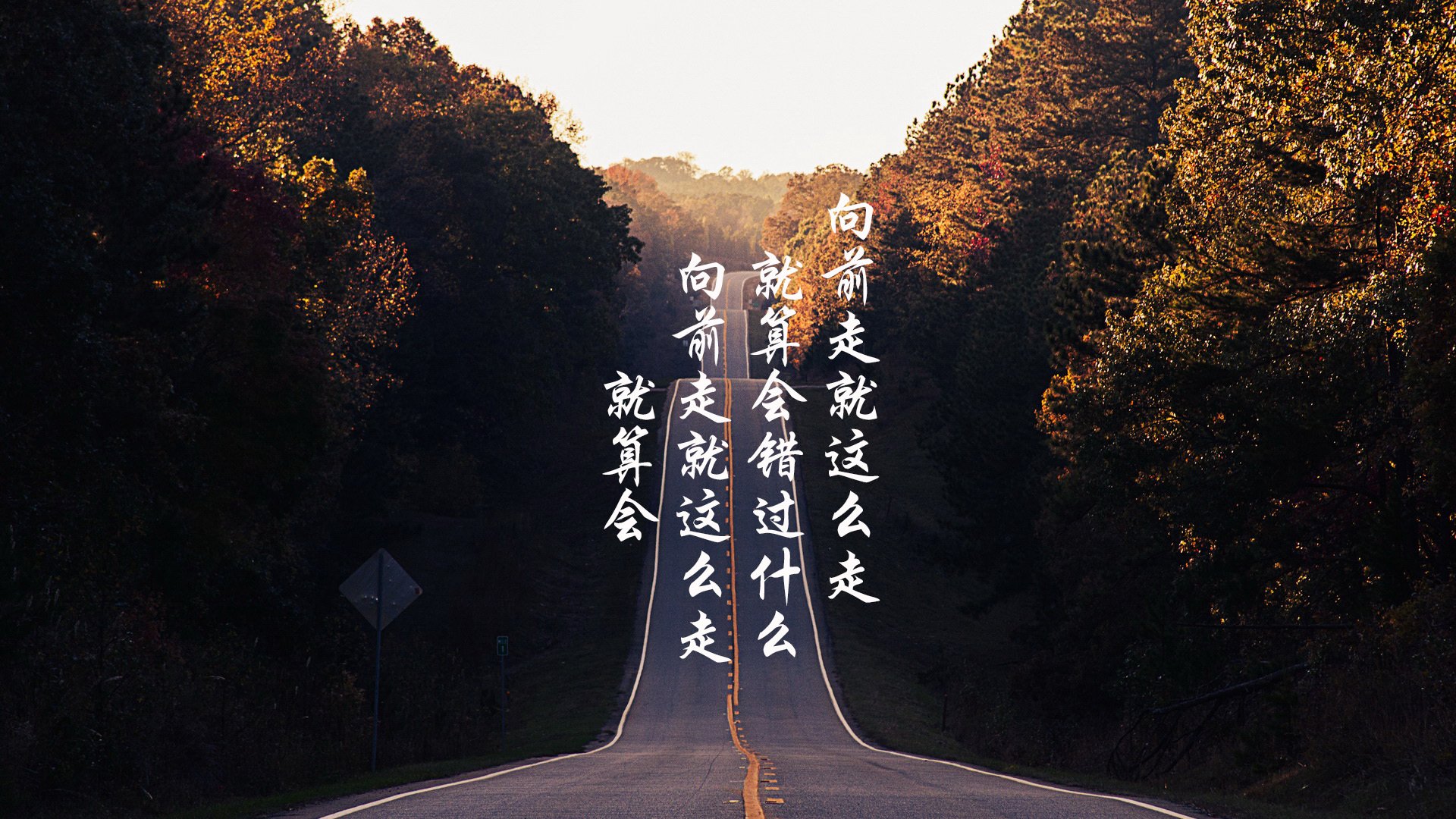 全国少年棒球赛，小将们的竞技舞台，少年棒球联赛