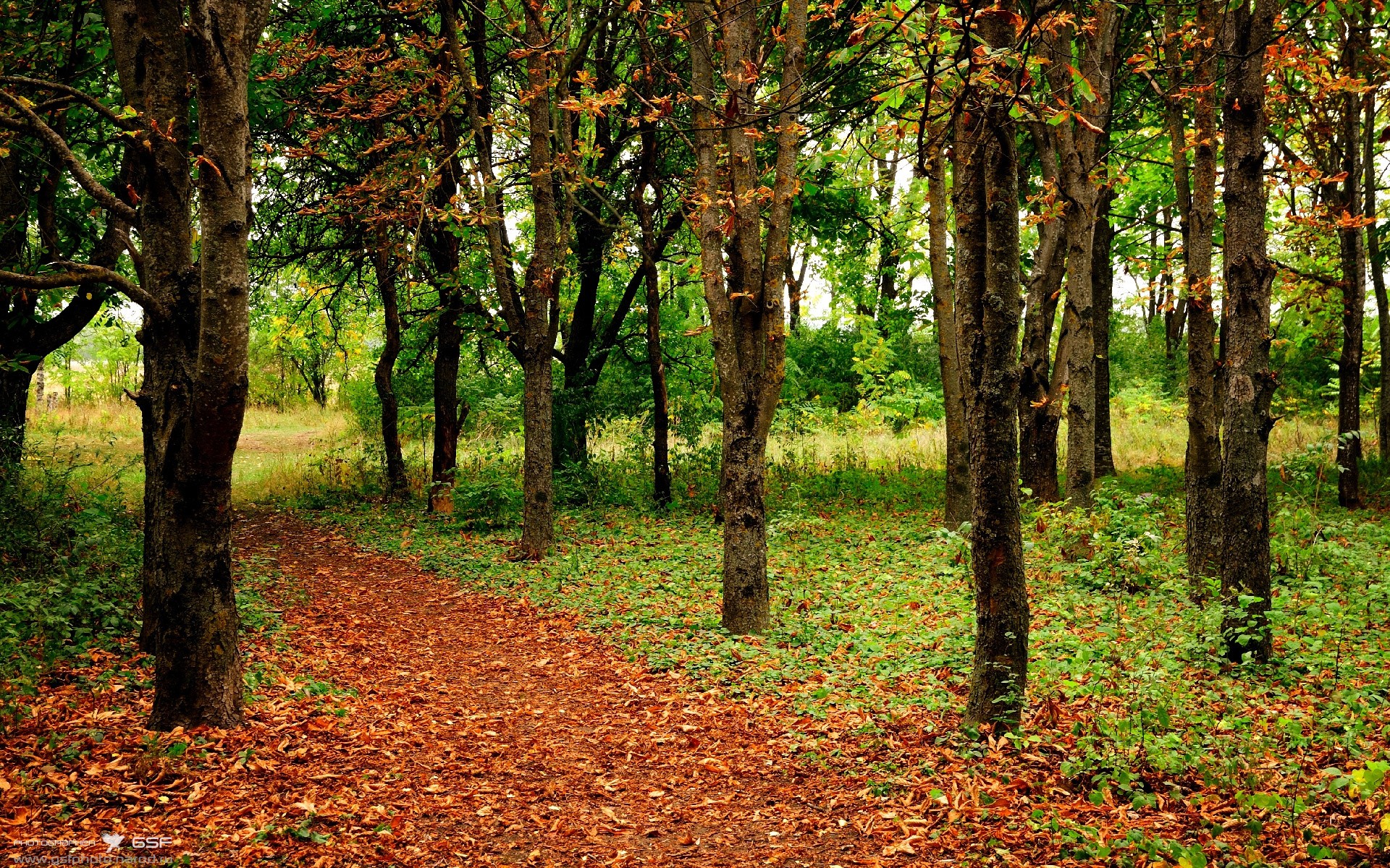 AYX体育-WRC人气车手TOP10：粉丝票选最喜爱选手，wrc热门车型