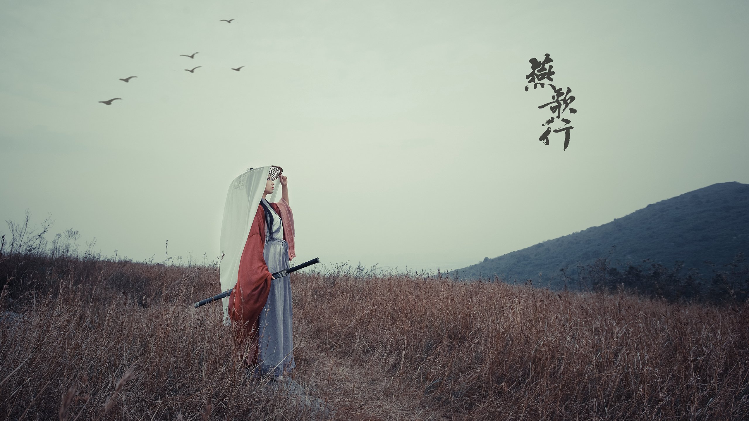 _鹈鹕实力稳步提升,季后赛希望逐渐清晰_,鹈鹕新赛季阵容名单