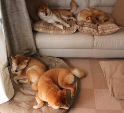 AYX体育官网-史上最具影响力欧冠比赛分析，欧冠最牛比赛